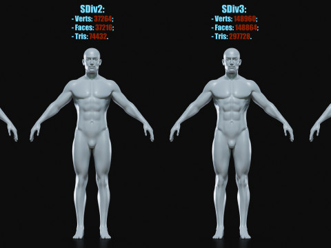 Realistic Athletic Man Body Base Mesh Modelo 3D