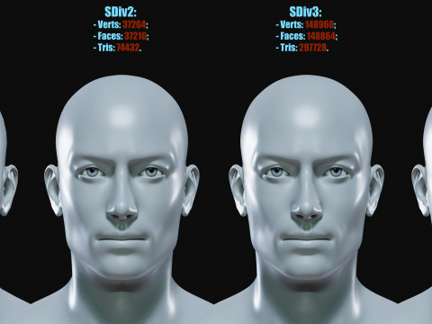 Realistic Athletic Man Body Base Mesh Modelo 3D
