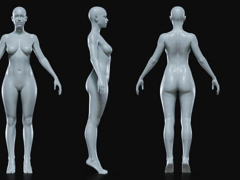 Realistisch vrouwelijk lichaamsbasisgaas 3D Model
