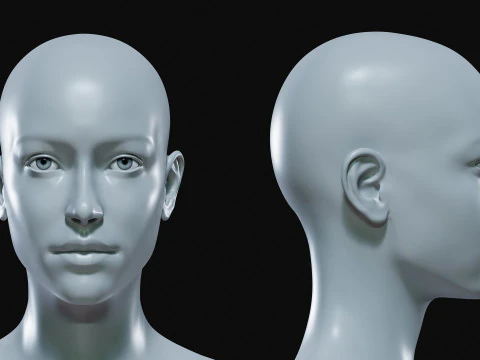 Realistisch vrouwelijk lichaamsbasisgaas 3D Model