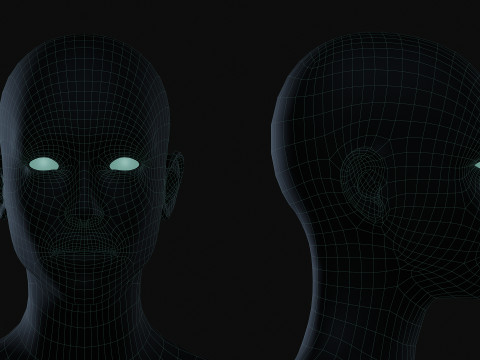 Realistic Female Body Base Mesh Modello 3D
