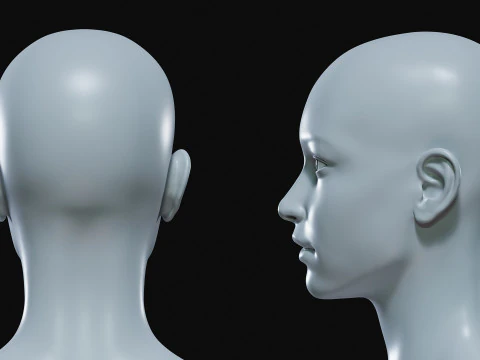 Realistisch vrouwelijk lichaamsbasisgaas 3D Model