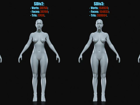 Realistisch vrouwelijk lichaamsbasisgaas 3D Model