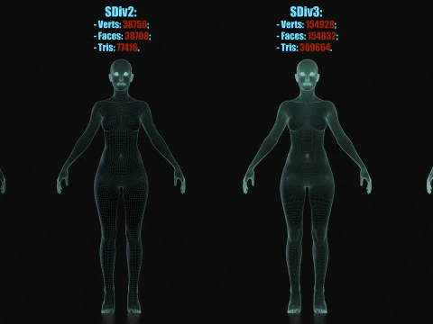 Realistisch vrouwelijk lichaamsbasisgaas 3D Model