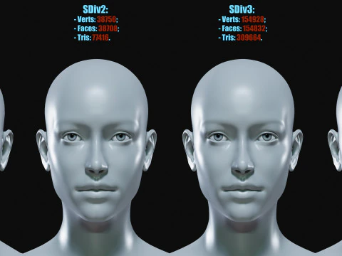 Realistisch vrouwelijk lichaamsbasisgaas 3D Model
