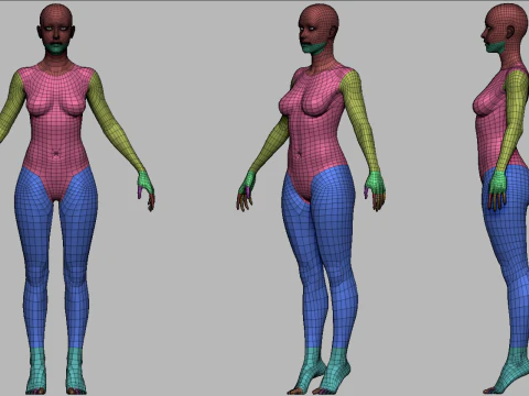 Realistisch vrouwelijk lichaamsbasisgaas 3D Model