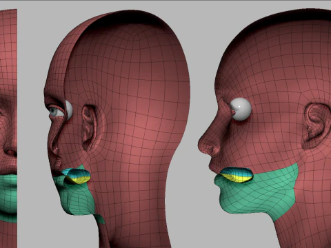 Realistisch vrouwelijk lichaamsbasisgaas 3D Model