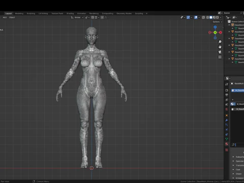 Realistisch vrouwelijk lichaamsbasisgaas 3D Model
