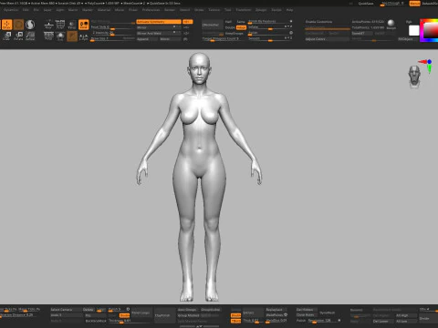 Realistisch vrouwelijk lichaamsbasisgaas 3D Model