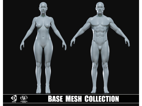 Realistic Athletic Human Body Base Mesh 3D Model