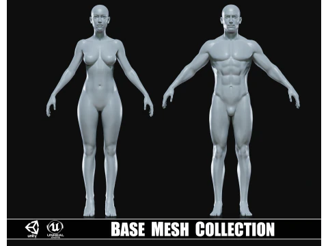 Malha base de corpo humano atl&eacute;tico realista Modelo 3D
