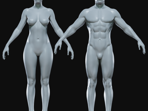 Realistic Athletic Human Body Base Mesh 3D 모델