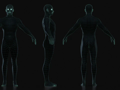 Realistic Athletic Human Body Base Mesh 3D Model
