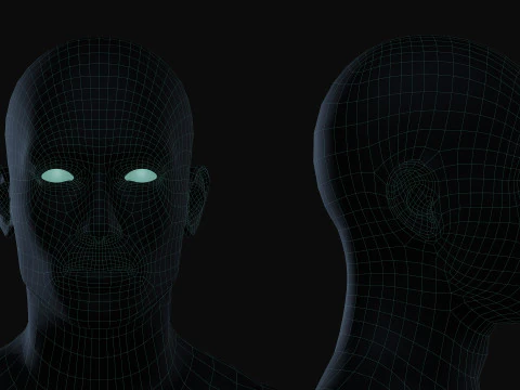 Realistic Athletic Human Body Base Mesh 3D Model