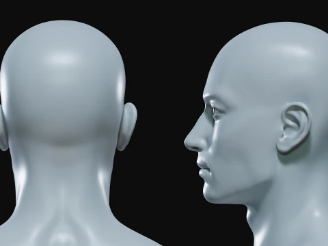 Realistic Athletic Human Body Base Mesh 3D Model