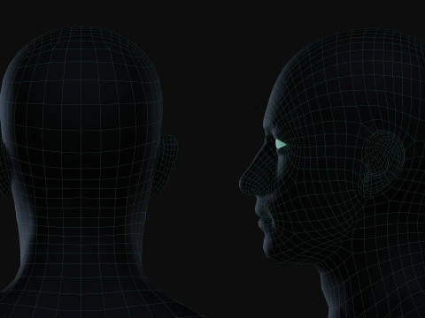 Realistic Athletic Human Body Base Mesh 3D Model