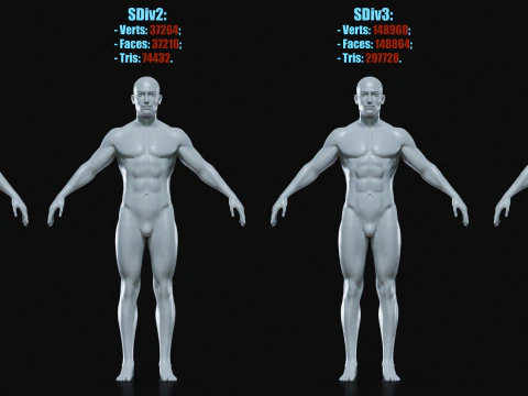 Realistic Athletic Human Body Base Mesh 3D Model
