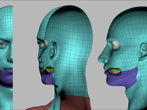 Realistic Athletic Human Body Base Mesh 3D Model