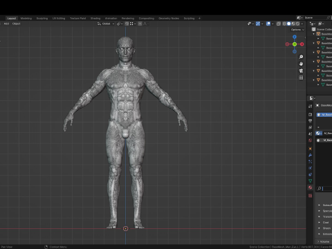 Realistic Athletic Human Body Base Mesh 3D 모델