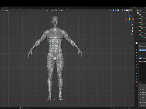 Realistic Athletic Human Body Base Mesh 3D Model