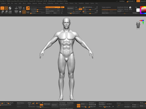 Realistic Athletic Human Body Base Mesh 3D Model