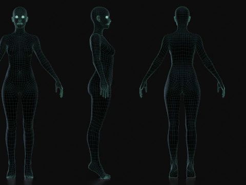 Realistic Athletic Human Body Base Mesh 3D Model