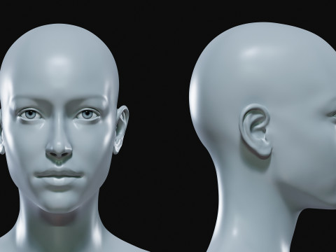 Realistic Athletic Human Body Base Mesh 3D 모델