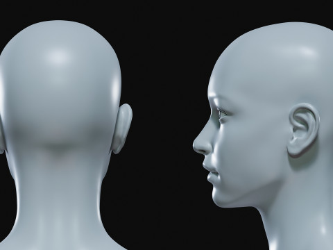 Realistic Athletic Human Body Base Mesh 3D 모델