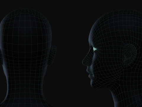 Realistic Athletic Human Body Base Mesh 3D 모델