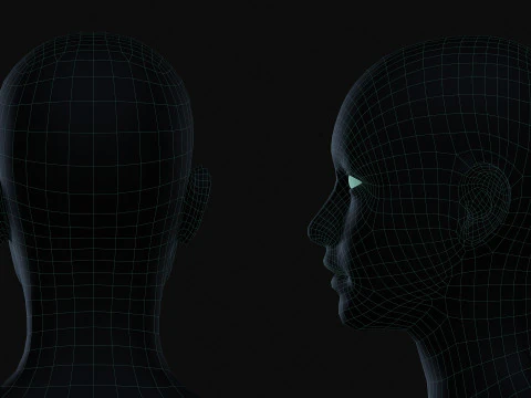 Realistic Athletic Human Body Base Mesh 3D Model