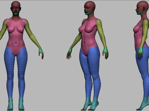 Realistic Athletic Human Body Base Mesh 3D 모델