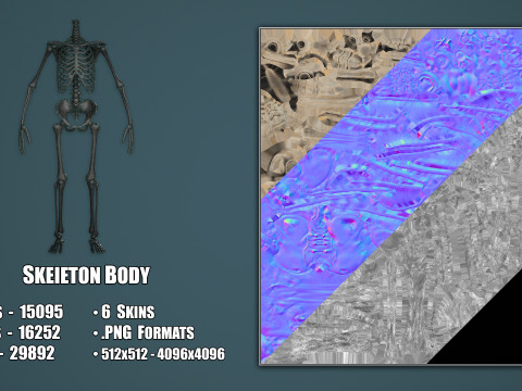 Skeleton Modelo 3D