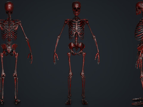 Skeleton Modelo 3D