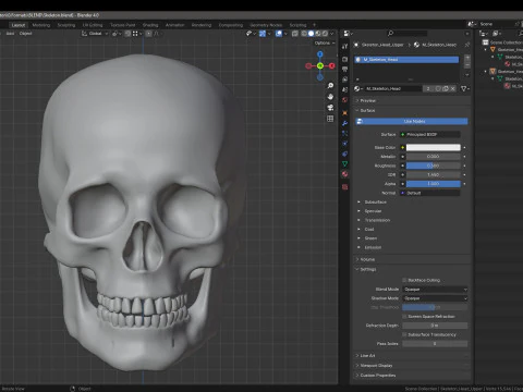 Skeleton 3D Model