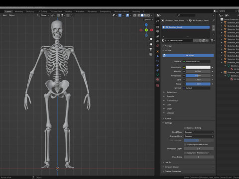 Skeleton Modelo 3D