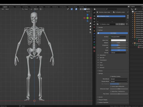 Skeleton 3D Model