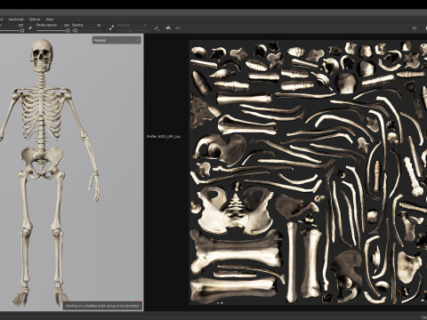 Skeleton Modelo 3D
