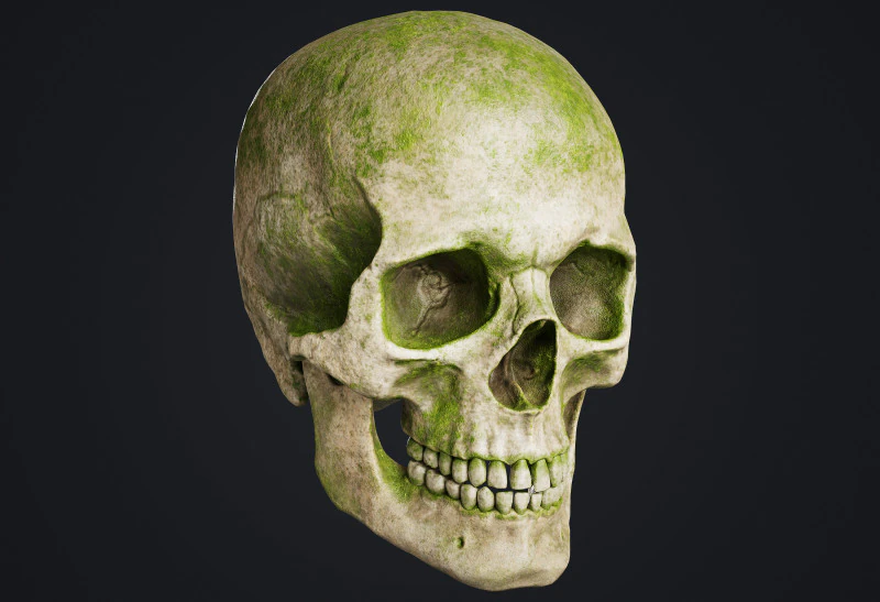 खोपड़ी 3D मॉडल .c4d .max .obj .3ds .fbx .stl .blend 