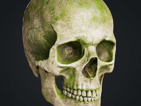 Skull Modelo 3D