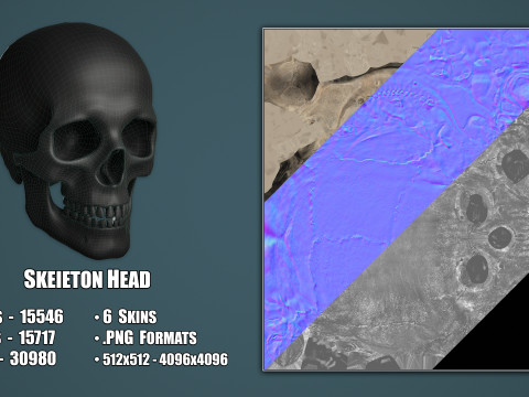 Skull Modelo 3D