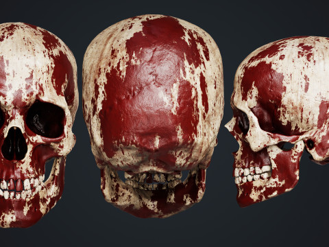 Skull Modelo 3D
