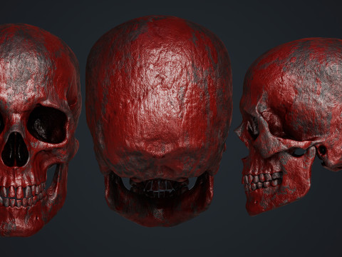 Skull Modelo 3D