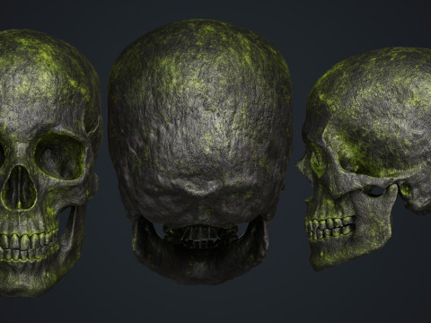 Skull Modelo 3D