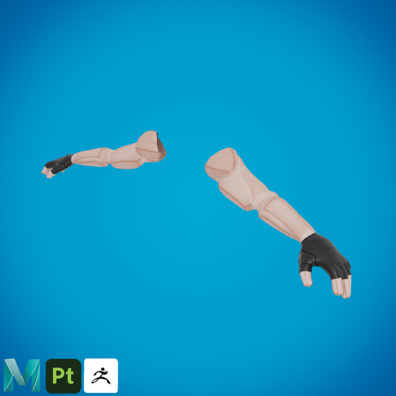 Arms for shooting games Model 3D .c4d .max .obj .3ds .fbx .stl .blend