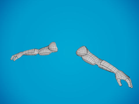 Arms for shooting games Model 3D