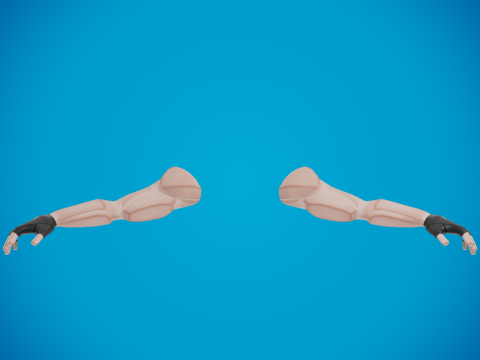 Arms for shooting games Model 3D