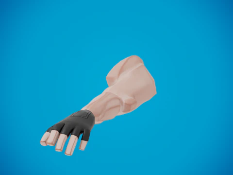 Arms for shooting games 3D Model