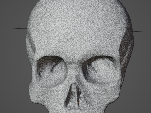 Skull for medical study 3D Модель