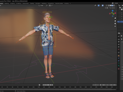 Stylized Tourist Character With Hawaiian Shirt Relaxed Modelo 3D