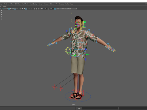 Stylized realism male celebration in Hawaiian shirt with energy Modello 3D